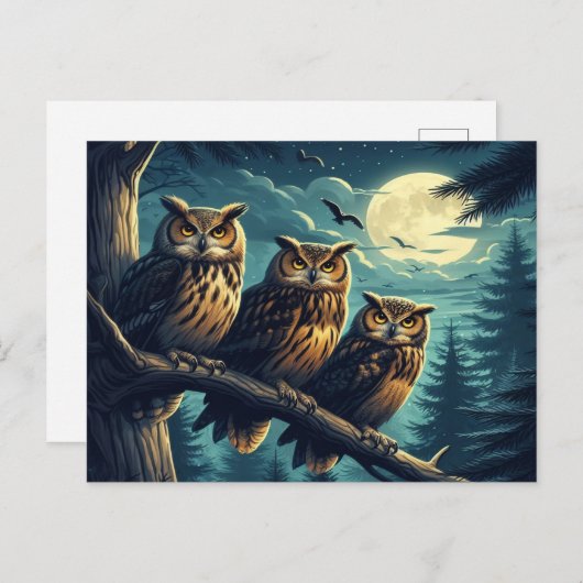 Carte Postale La Lune Chouette Une Serenade Nocturne (Devant / Derrière)