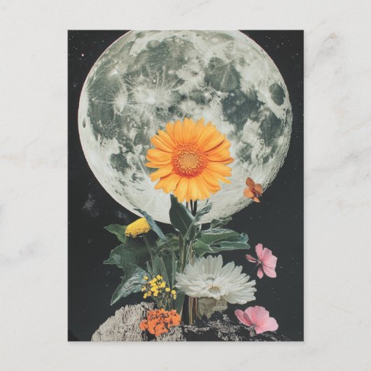 Carte Postale La Lune S'Éclate Sur Le Charme Rustique (2) (Devant)