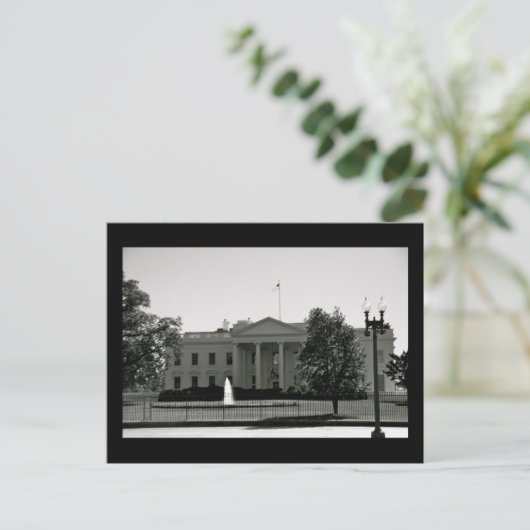 Carte Postale la maison blanche (Debout devant)