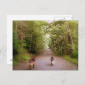 Carte Postale La maison de la route (Devant / Derrière)