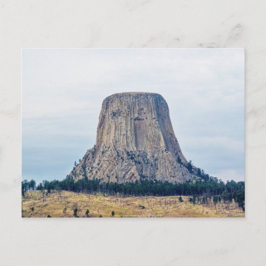 Carte Postale La maison de l'ours (Devant)