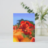 Carte Postale La maison du pavot - peinture à l'huile (Debout devant)