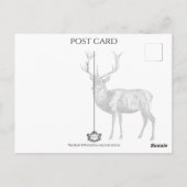 Carte Postale La Mariée, romance gothique, imaginaire (Dos)