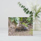 Carte Postale La meilleure mère du monde (Debout devant)