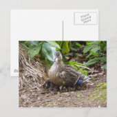 Carte Postale La meilleure mère du monde (Devant / Derrière)