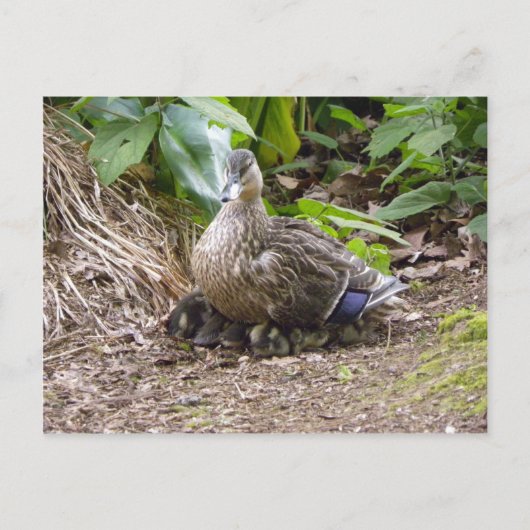 Carte Postale La meilleure mère du monde (Devant)