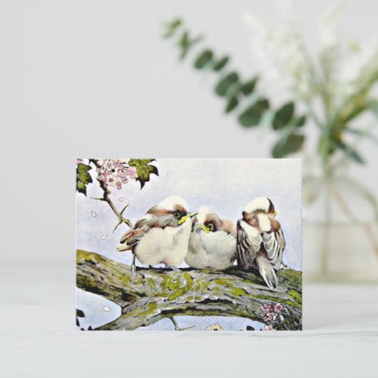 Carte Postale La mésange à longue queue, Edward Julius Detmold (Debout devant)