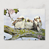 Carte Postale La mésange à longue queue, Edward Julius Detmold (Devant)