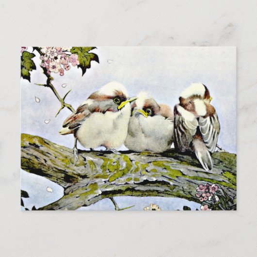 Carte Postale La mésange à longue queue, Edward Julius Detmold (Devant)