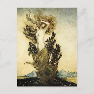 Carte Postale La métamorphose de Daphné en arbre