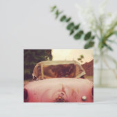 Carte Postale La métropolitaine 1958 de randonneur de Nash (Debout devant)