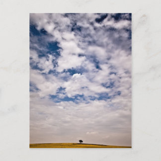 Carte Postale La moitié de l'univers bleu