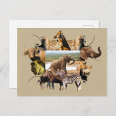 Carte Postale La montée des éléphants du cadre faunique africain (Devant / Derrière)