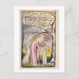 Carte Postale 'La Mouche', assiette 37 de 'Chansons d'Innocence 