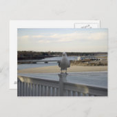 Carte Postale La Mouette Patiente, Wells Maine (Devant / Derrière)