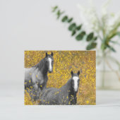 Carte Postale La moutarde et les chevaux (Debout devant)