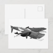 Carte Postale La Nage Des Baleines Illustration Art (Devant / Derrière)