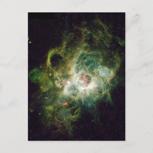 Carte Postale La naissance d'une étoile (Devant)