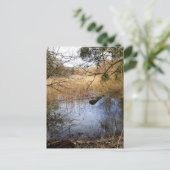 Carte Postale La nature des Madowlands (Debout devant)