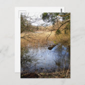 Carte Postale La nature des Madowlands (Devant / Derrière)