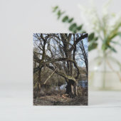 Carte Postale La nature des Madowlands (Debout devant)