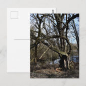 Carte Postale La nature des Madowlands (Devant / Derrière)