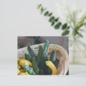 Carte Postale La Nature Du Squash Et De La Zucchini (Debout devant)