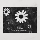 Carte Postale La nature en monochrome (Devant)