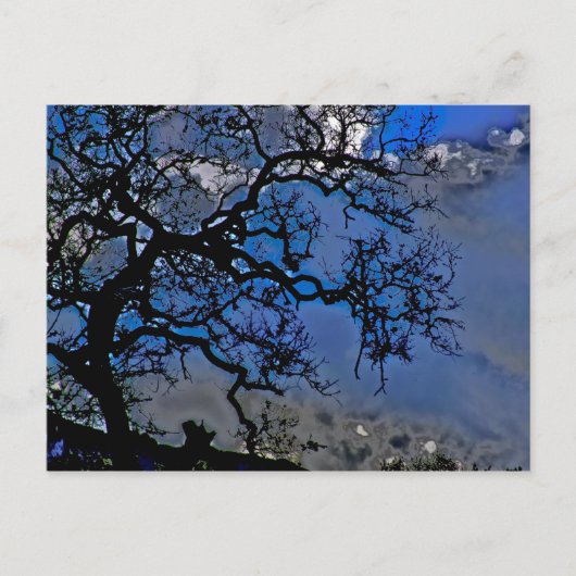 Carte Postale La Nature Est Ancienne (Devant)