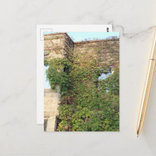 Carte Postale la nature récupérant un bâtiment abandonné de l'Il
