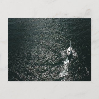 Carte Postale La navigation dans l'océan Pacifique