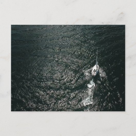 Carte Postale La navigation dans l'océan Pacifique (Devant)