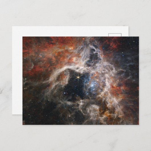 Carte Postale La Nebula Tarantula | NIRCam | JWST (Devant / Derrière)