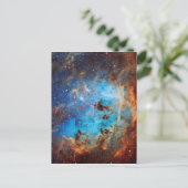 Carte Postale La nébuleuse de la tapdole (Debout devant)