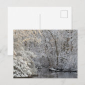 Carte Postale La neige en hiver La scène de l'eau calme (Devant / Derrière)