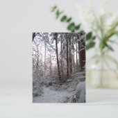 Carte Postale LA NEIGE HIVER par SHARON SHARPE (Debout devant)