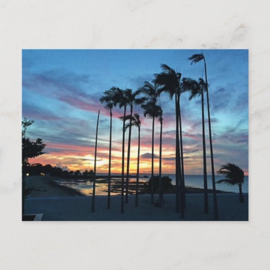 Carte Postale La noix de coco à la plage (Devant)