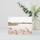 Carte Postale La Norfolk Broads (Debout devant)