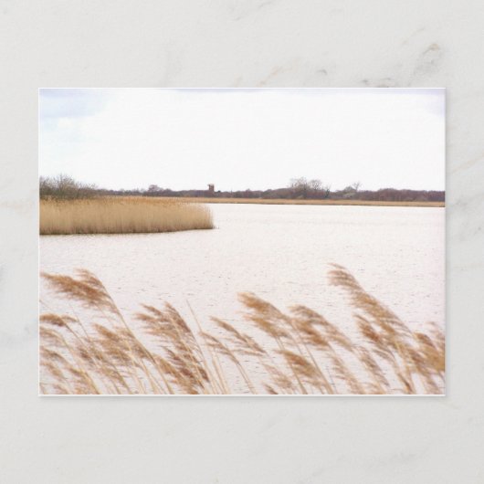 Carte Postale La Norfolk Broads (Devant)