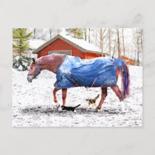 Carte Postale "La nouvelle couverture de Jessie" 