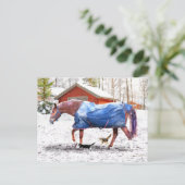 Carte Postale "La nouvelle couverture de Jessie" (Debout devant)