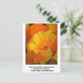 Carte Postale La nuit se terminera, citation de Victor Hugo, Pop (Debout devant)