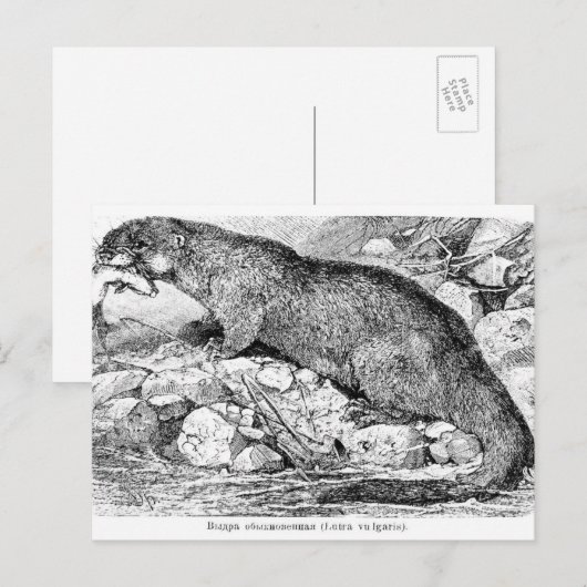 Carte Postale La Otter (Devant / Derrière)