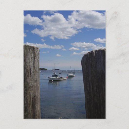 Carte Postale La paix sur l'eau (Devant)