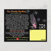 Carte Postale La Panthère de Floride, un animal en danger... (Dos)