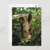 Carte Postale La paresse à deux doigts de Hoffmann (Devant / Derrière)