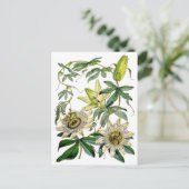 Carte Postale La passion fleurit l'illustration botanique (Debout devant)