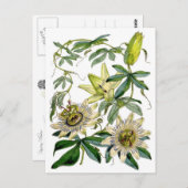 Carte Postale La passion fleurit l'illustration botanique (Devant / Derrière)