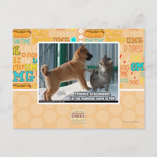 Carte Postale La patience, sauterelle (Devant)