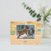 Carte Postale La patience, sauterelle (Debout devant)